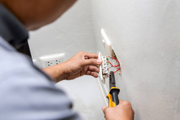 Best Electric Panel Repair  in Wright, WY